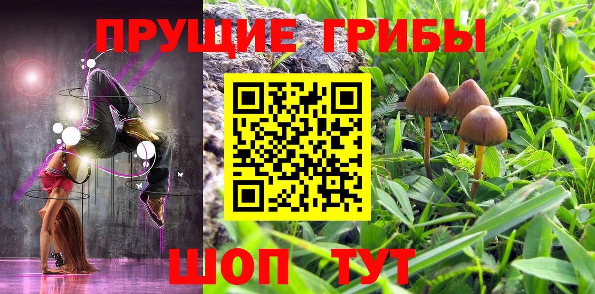 Псилоцибиновые грибы ЛСД Домодедово
